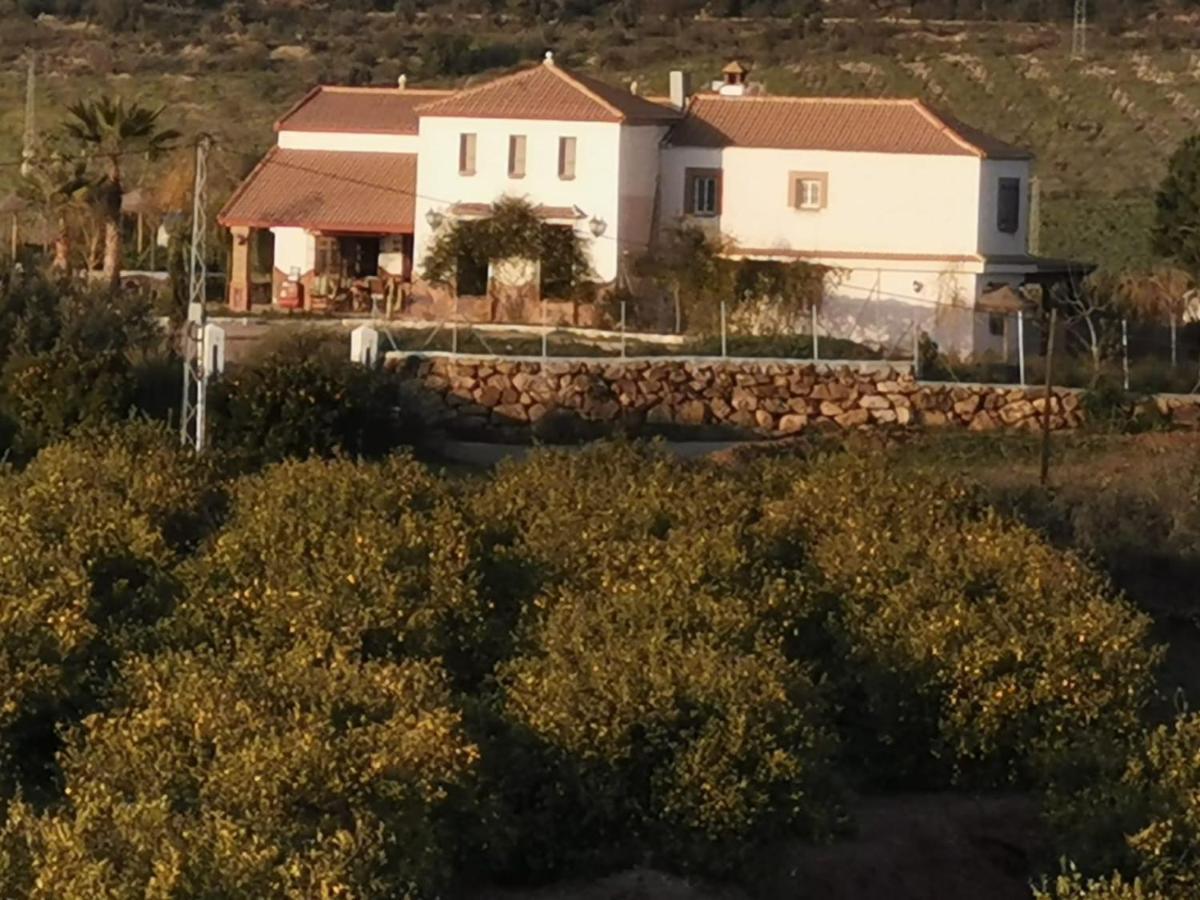 Villa Coino Cartama