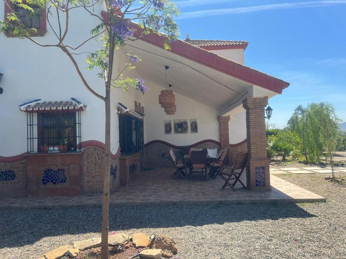 Coino Villa Cartama